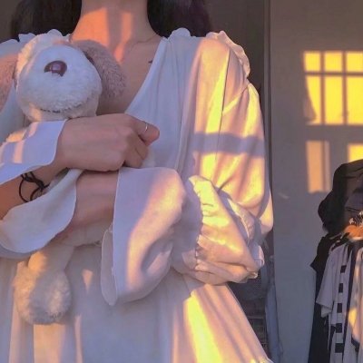 巨幅宝丽莱大师高清海报
